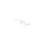 Swift FX