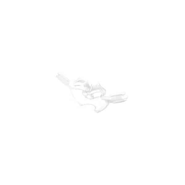 Swift FX