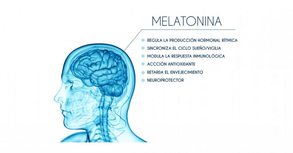 funciones de la melatonina