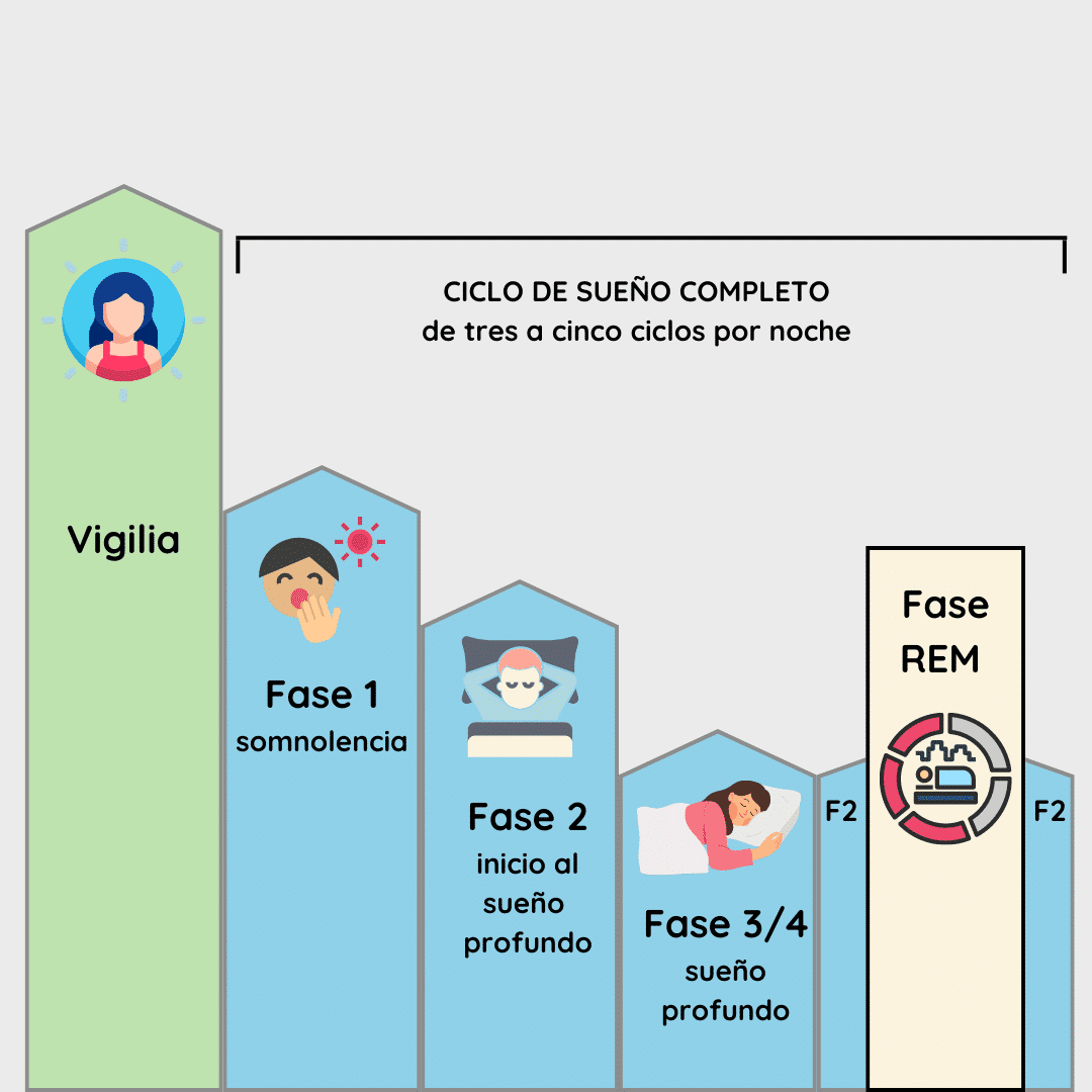 Ciclos de sueño (2)